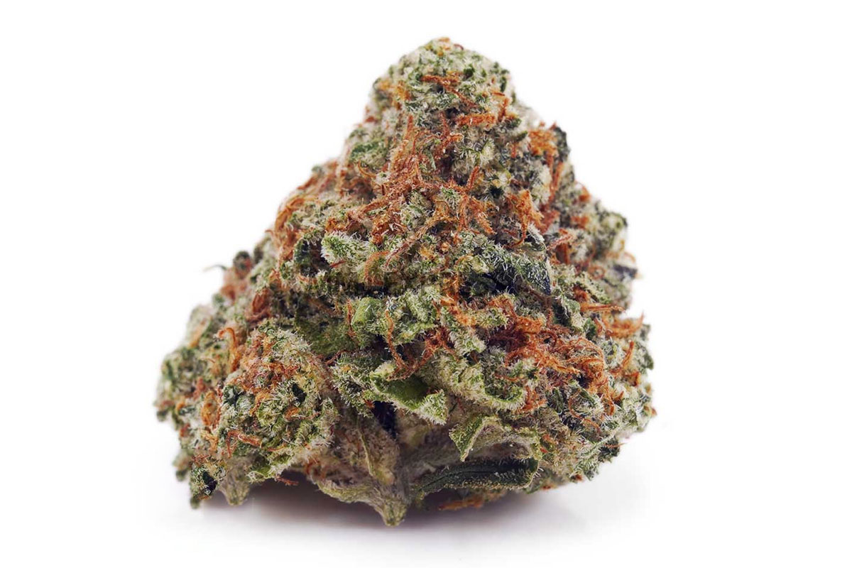 Georgia Pie cannabis