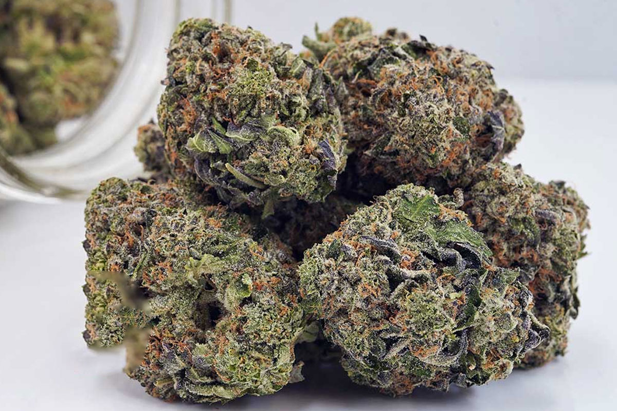couch lock cannabis strain 