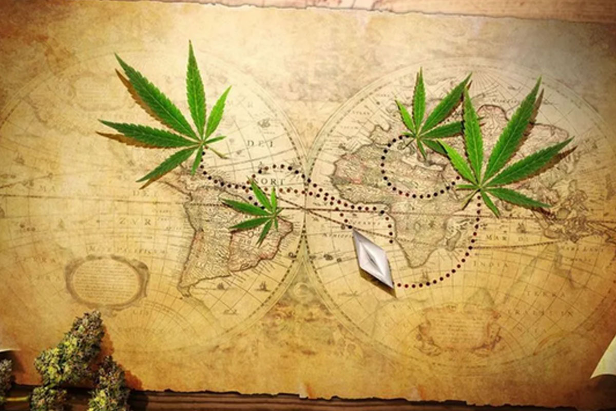 the ancient history of cannabis