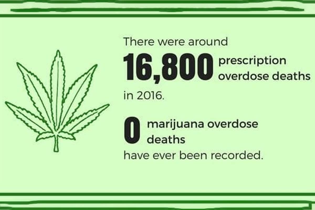 Can Weed Cause Death? The Truth About Cannabis Safety