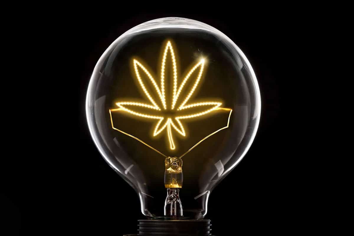 Cannabis and Creativity
