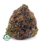 Buy Cannabis Peach Gelato AA at MMJ Express Online Shop