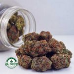 Buy Cannabis Peach Gelato AA at MMJ Express Online Shop