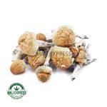 Buy Shrooms - Melmac Penis Envy at MMJ Express Online Shop
