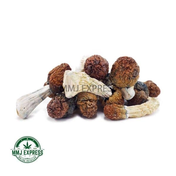 Buy Shrooms - Penis Envy #6 at MMJ Express Online Shop