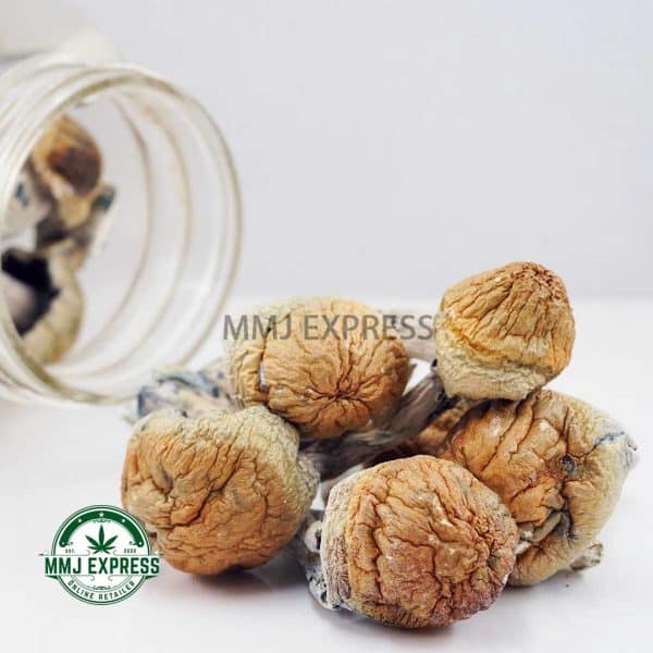 Buy Shrooms - Melmac Penis Envy at MMJ Express Online Shop