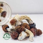 Buy Shrooms - Penis Envy #6 at MMJ Express Online Shop