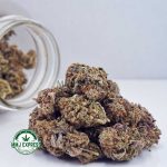 Buy Cannabis MAC Donuts AAA at MMJ Express Online Shop