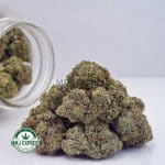Buy Cannabis Vanilla Cake AA at MMJ Express Online Shop