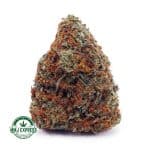 Buy Cannabis Cookie Dough AAAA at MMJ Express Online Shop