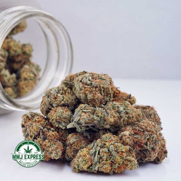 Buy Cannabis White Biscotti AA at MMJ Express Online Shop