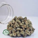 Buy Cannabis Strawberry Shortcake AAAA (Popcorn Nugs) at MMJ Express Online Shop