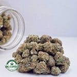 Buy Cannabis Cookie Monster AAAA (Popcorn Nugs) at MMJ Express Online Shop