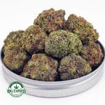 Buy Cannabis Pink Runtz AAA at MMJ Express Online Shop