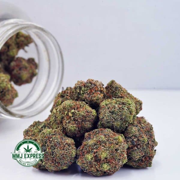 Buy Cannabis Pink Runtz AAA at MMJ Express Online Shop