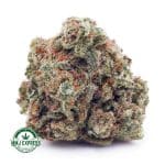 Buy Cannabis Northern Lights AAA at MMJ Express Online Shop