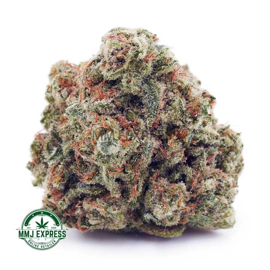 EA NORTHERNLIGHTS MMJ Buy Cannabis Northern Lights AAA at MMJ Express Online Shop