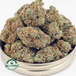 Buy Cannabis Northern Lights AAA at MMJ Express Online Shop