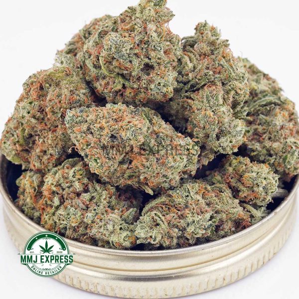 Buy Cannabis Northern Lights AAA at MMJ Express Online Shop