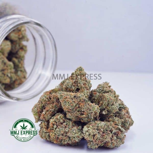 Buy Cannabis Northern Lights AAA at MMJ Express Online Shop