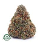 Buy Cannabis Strawberry Bomb AAA at MMJ Express Online Shop