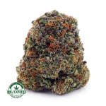 Buy Cannabis Island Kush AA at MMJ Express Online Shop