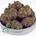Buy Cannabis Island Kush AA at MMJ Express Online Shop