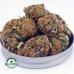 Buy Cannabis White Widow AAAA at MMJ Express Online Shop