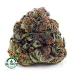Buy Cannabis Amnesia Haze AA at MMJ Express Online Shop