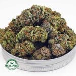 Buy Cannabis Amnesia Haze AA at MMJ Express Online Shop