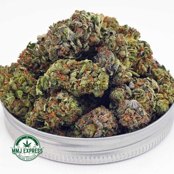 Buy Cannabis Amnesia Haze AA at MMJ Express Online Shop