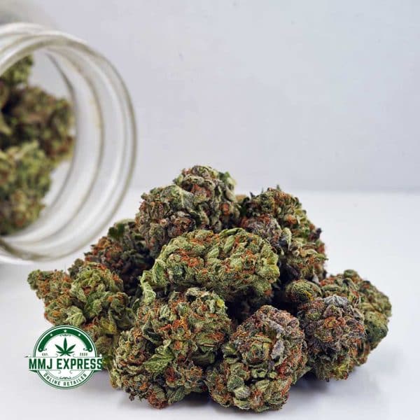 Buy Cannabis Amnesia Haze AA at MMJ Express Online Shop