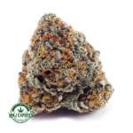 Buy Cannabis MAC Donuts AAA at MMJ Express Online Shop
