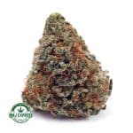 Buy Cannabis Khalifa Mintz AAA at MMJ Express Online Shop