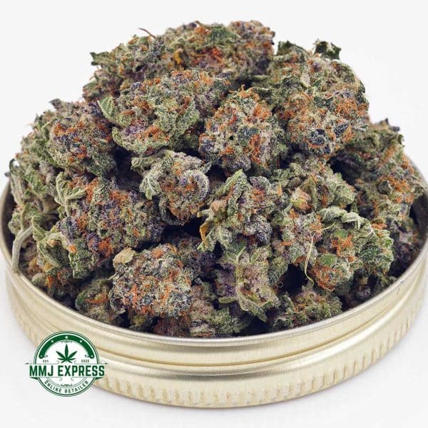 Buy Cannabis Blueberry Punch AAAA (Popcorn Nugs) at MMJ Express Online Shop
