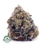 Buy Cannabis Scooby Snacks AAA at MMJ Express Online Shop