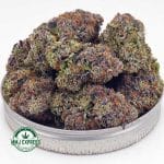 Buy Cannabis Tom Ford Pink Kush AAAA+, Craft at MMJ Express Online Shop