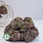 Buy Cannabis Tom Ford Pink Kush AAAA+, Craft at MMJ Express Online Shop