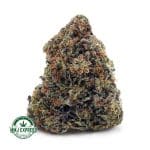Buy Cannabis Supreme Gas Mask AAAA+, Craft at MMJ Express Online Shop