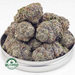 Buy Cannabis Laughing Buddha Craft, AAAA+ at MMJ Express Online Shop