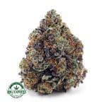 Buy Cannabis Couch Lock AAAA+ , Craft at MMJ Express Online Shop