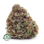 Buy Cannabis Dragon's Breath AAA at MMJ Express Online Shop