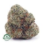 Buy Cannabis Champagne Kush AAA at MMJ Express Online Shop
