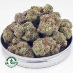 Buy Cannabis Champagne Kush AAA at MMJ Express Online Shop