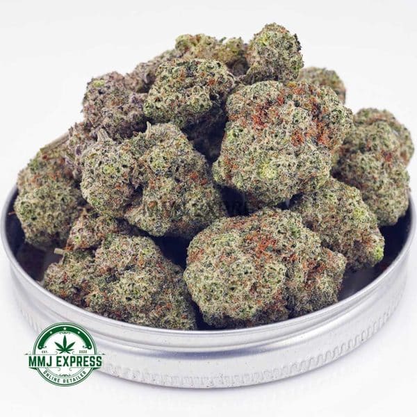 Buy Cannabis Champagne Kush AAA at MMJ Express Online Shop