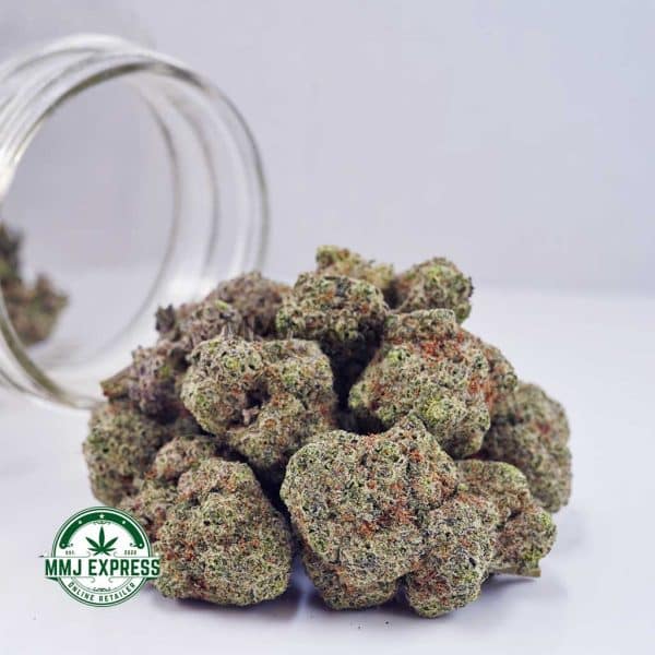Buy Cannabis Champagne Kush AAA at MMJ Express Online Shop