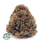 Buy Cannabis Acapulco Gold AAAA at MMJ Express Online Shop
