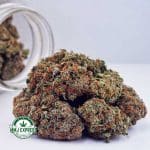 Buy Cannabis Acapulco Gold AAAA at MMJ Express Online Shop