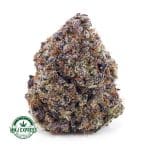Buy Cannabis Blueberries & Cream AAA at MMJ Express Online Shop