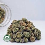 Buy Cannabis Cannalope Haze AAAA (Popcorn Nugs) at MMJ Express Online Shop